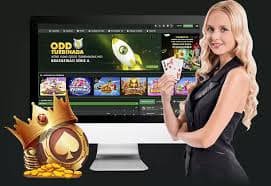 win 24